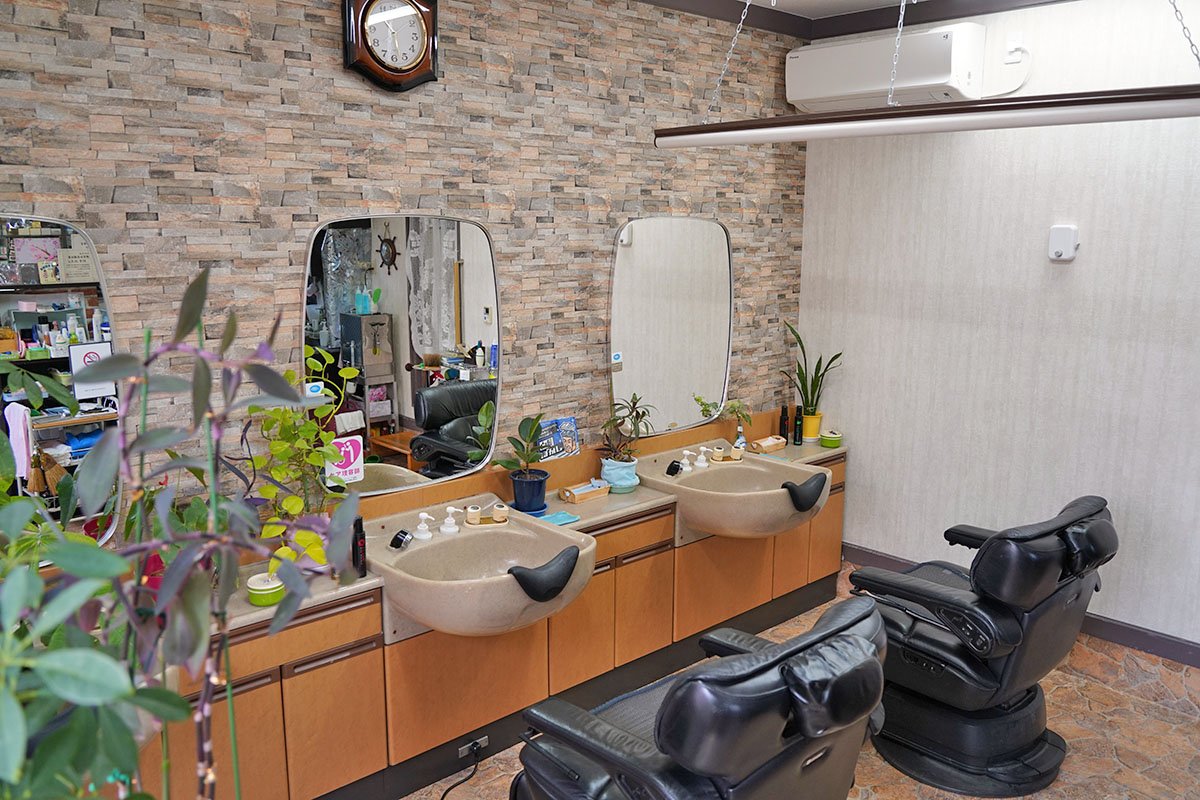 http://salondaruma.cygnus2.jp/001_DSC04530.JPG