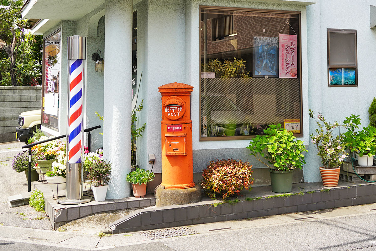 http://salondaruma.cygnus2.jp/007_DSC04517.JPG